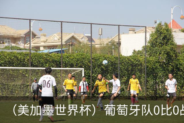 （美加墨世界杯）葡萄牙队0比0战平哥伦比亚队 两队携手出线